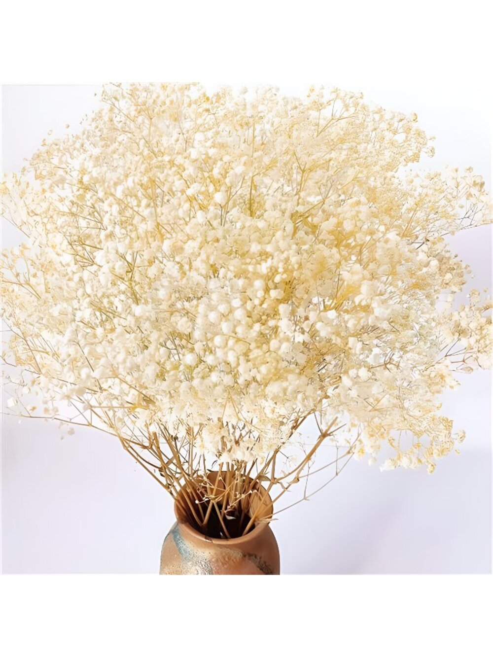 4000+ Dried Babys Breath Flowers Bulk - 17.2" Ivory White Dried Flowers